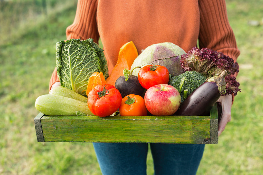 Vegetables and Honey -  Bounty and Beauty of Homestead Life