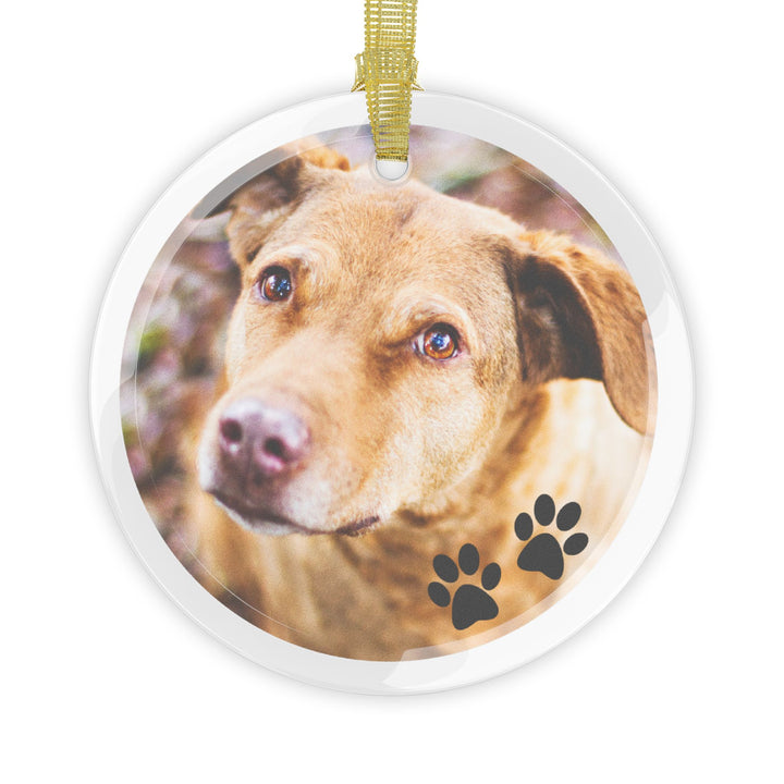 Customizable Glass Photo Ornament – Personalized Pet Memorial Keepsake