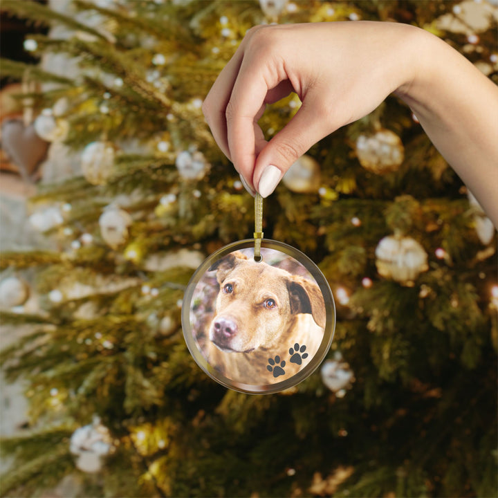 Customizable Glass Photo Ornament – Personalized Pet Memorial Keepsake