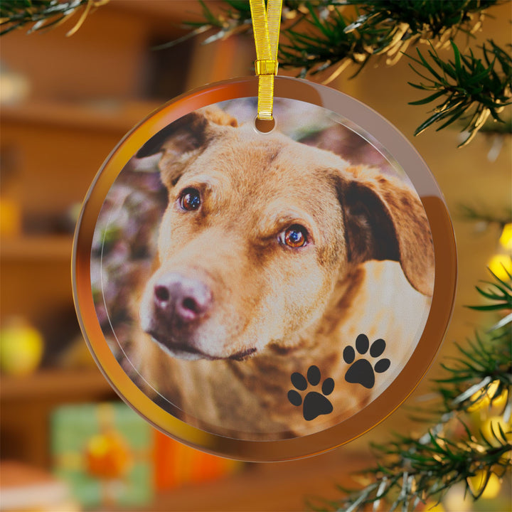 Customizable Glass Photo Ornament – Personalized Pet Memorial Keepsake